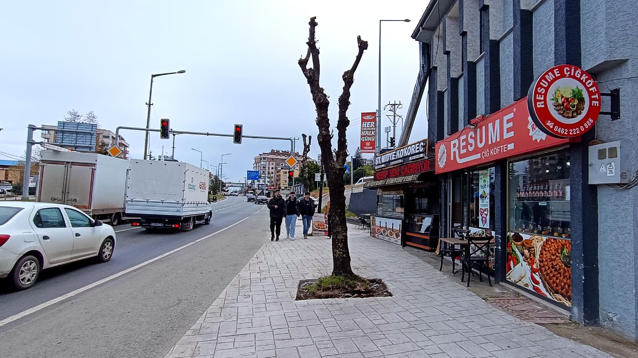 SÖĞÜTLÜ KOKOREÇ KEBAP MİDYECİ
